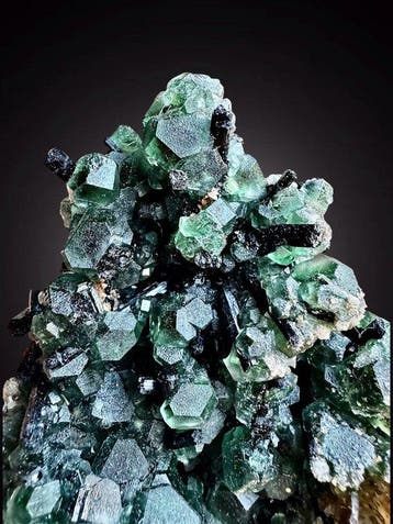 Fluorite cubique splendide avec tourmalines incrustées et