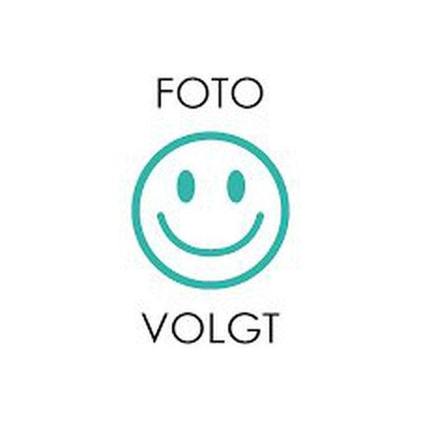 Niek Maxi vloerpuzzel In het bos 30 stukjes (zie afbeelding), Boeken, Schoolboeken, Verzenden