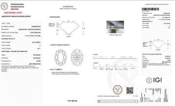 Zonder minimumprijs - Ring - 18 karaat Witgoud - 3.22ct. tw.