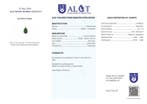 Pas de réserve - Certifié ALGT - Pendentif en jade natif