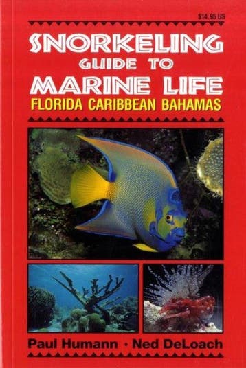 Snorkeling Guide To Marine Life - Humann, Verzenden