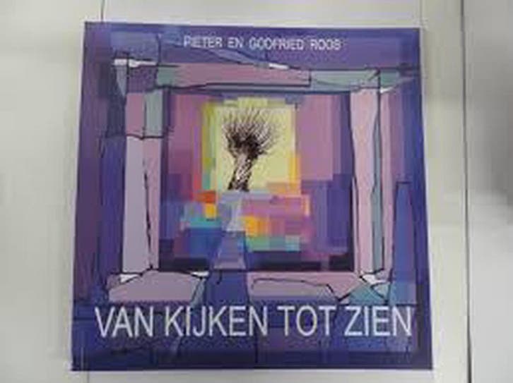 Van kijken tot zien 9789090248745 P.B. Roos, Livres, Ésotérisme & Spiritualité, Envoi