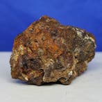 PALLASITE Meteoriet. SERICHO (Kenya, 2016) Volledig stuk.