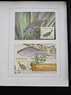 Belgique 1990/2003 - Lot de cartes maximum originales sur, Timbres & Monnaies