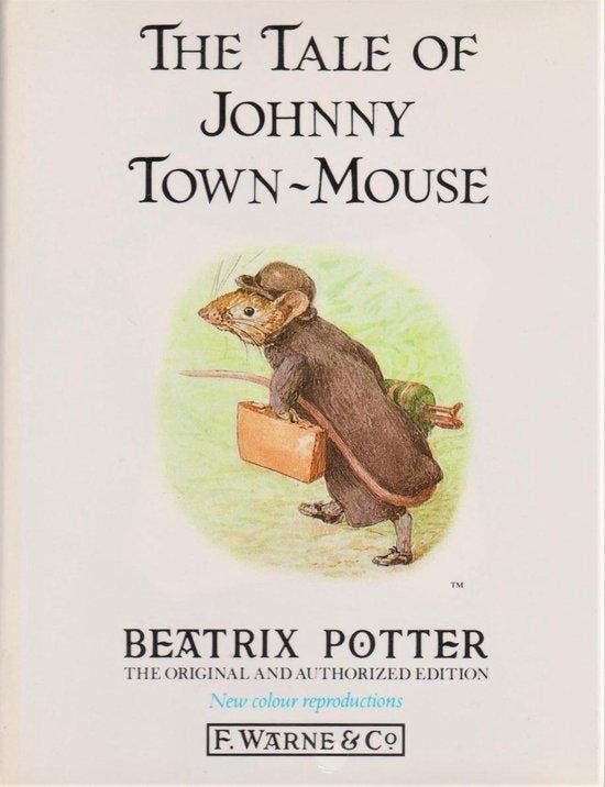 The Tale of Johnny Town - Potter, Boeken, Romans, Verzenden