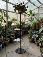 Jardinière - industriële esthetiek - Metaal, Glas - Vintage