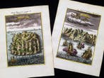 Afrika - [Lot van 2] - Saint Helena-eiland / Jamestown /, Nieuw