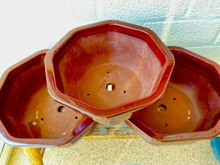 Bonsai potten 3 stuks - Hoogte (boom): 0 cm - Diepte (boom):, Antiek en Kunst, Curiosa en Brocante