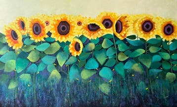 Amita Dand - The Golden Hour