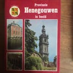 Provincie Henegouwen in beeld / Heideland collectie, Verzenden, Gelezen, Vandromme