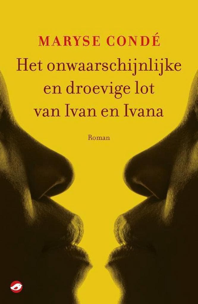 Het onwaarschijnlijke en droevige lot van Ivan en Ivana, Boeken, Romans, Zo goed als nieuw, Verzenden