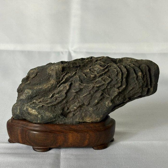 Pierre, Bois - Art zen japonais - Suiseki authentique, Antiek en Kunst, Antiek | Overige Antiek