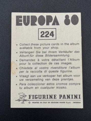 1980 Panini #224 Europa 80 - Badge: Northern Ireland - 1, Verzamelen, Stickers, Nieuw