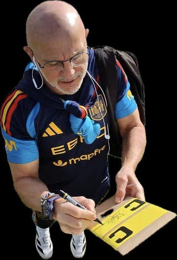 España - Voetbal Europees kampioenschap - Luis de la Fuente, Nieuw