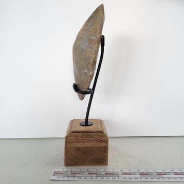 Culture du Ténéré Silex Outil - 20 cm (Sans prix de réserve)