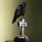 Raaf op Kruis Taxidermie Opgezette Dieren By Max, Ophalen of Verzenden, Opgezet dier