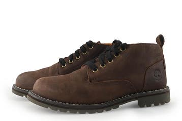 Timberland Enkellaarzen in maat 42 Bruin, Kleding | Heren, Schoenen, Bruin, Verzenden, Timberland, Overige typen