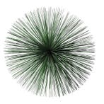 Polspotten Prickle Green - Xxl - Ongebruikt, Verzenden