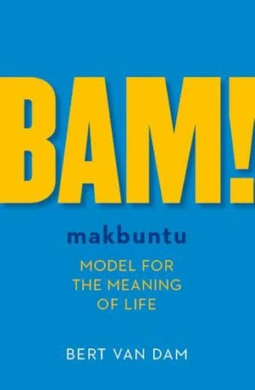 BAM! 9789492179128 Bert van Dam, Verzenden, Gelezen, Bert van Dam
