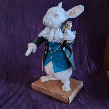 Lapin Support de corps entier pour taxidermie - Oryctolagus