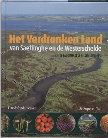 Verdronken land van Saeftinghe, Het 9789080799516, Verzenden, Zo goed als nieuw, C. Jacobusse
