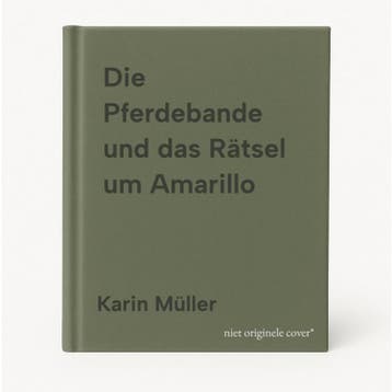 Die Pferdebande und das Rätsel um Amarillo 9783505117206, Verzenden, Karin Müller