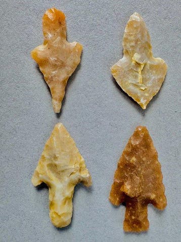Sahara Silex Pijlpunt (Zonder minimumprijs)