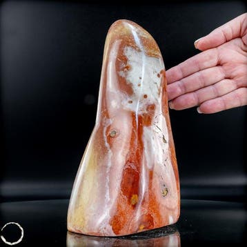 Expressieve veelkleurige jaspis Vrije vorm met levendig