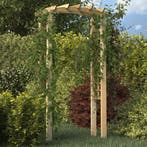 vidaXL Tuinboog 110x60x210 cm geïmpregneerd massief, Verzenden