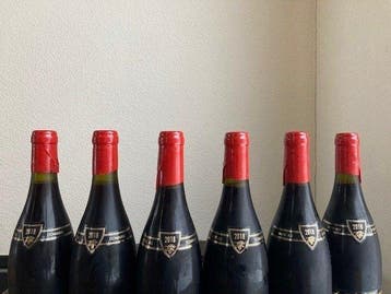 2019 Domaine Camus - Gevrey Chambertin - 6 Flessen (0.75, Verzamelen, Wijnen, Nieuw