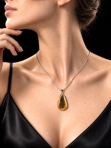 Collier dinsecte en ambre naturel – Mouche des champignons