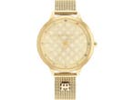 Veiling - Tommy Hilfiger Horloge Iris Goud 36mm, Nieuw