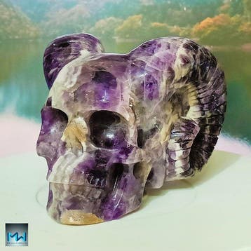 Crâne humain avec cornes de bélier, sculpté à la main dans