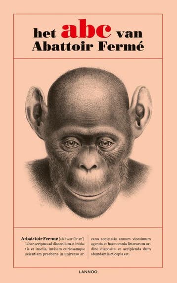 Het abc van Abattoir Fermé 9789401461689 Stef Lernous, Livres, Art & Culture | Danse & Théâtre, Verzenden, Stef Lernous