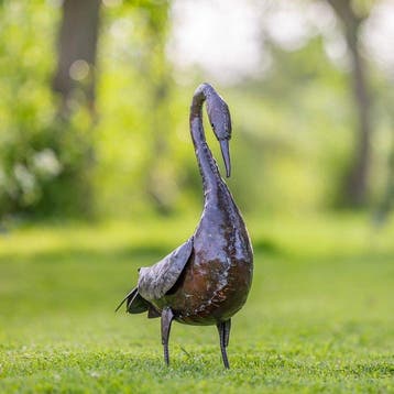 Figure - Sierlijke zwaan - métal