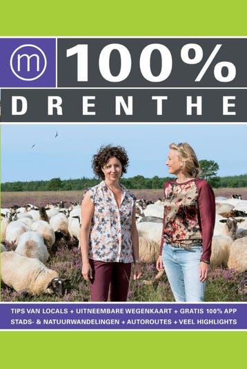 100% Drenthe / 100% regiogidsen 9789057677403, Verzenden, Judith de Ruiter