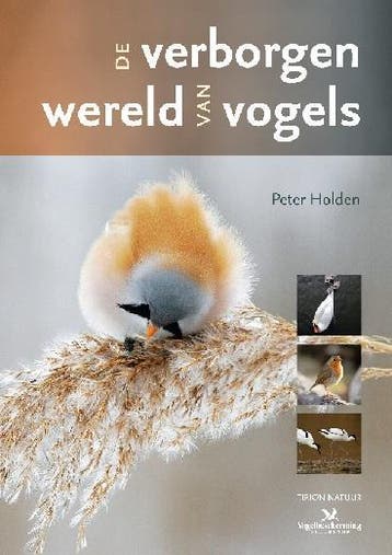 Tirion natuur De verborgen wereld van vogels / Tirion natuur, Boeken, Verzenden, Gelezen, Peter Holden