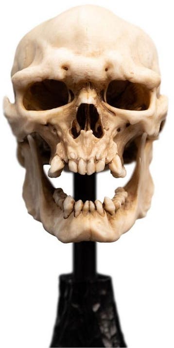 Weta Workshop Lord of the Rings Skull of a Mordor Orc Mini S, Antiek en Kunst, Kunst | Beelden en Houtsnijwerken, Ophalen of Verzenden