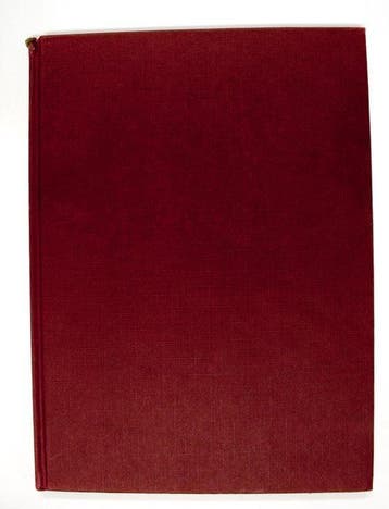 Elseviers paardenboek in kleuren - Silver, Verzenden