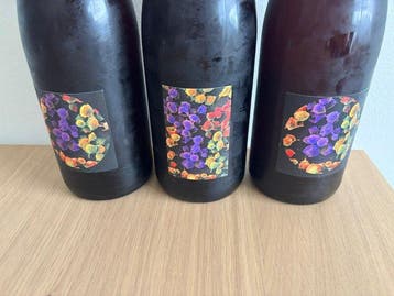 2024 x 2 Allante & Boulanger Pineau dAulnis & Gamay Le, Nieuw