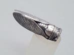 Zilver, Grote Art Deco Cigale - Broche, Antiek en Kunst