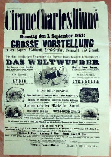 Das Weltwunder der berühmte amerikanische Bulle Don Juan -
