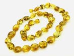 Gele Baltische Amber Ketting - Barnsteen (Zonder, Nieuw