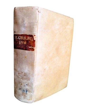 AA. VV. - Florilegium Diversorum Epigrammatum [Testo in
