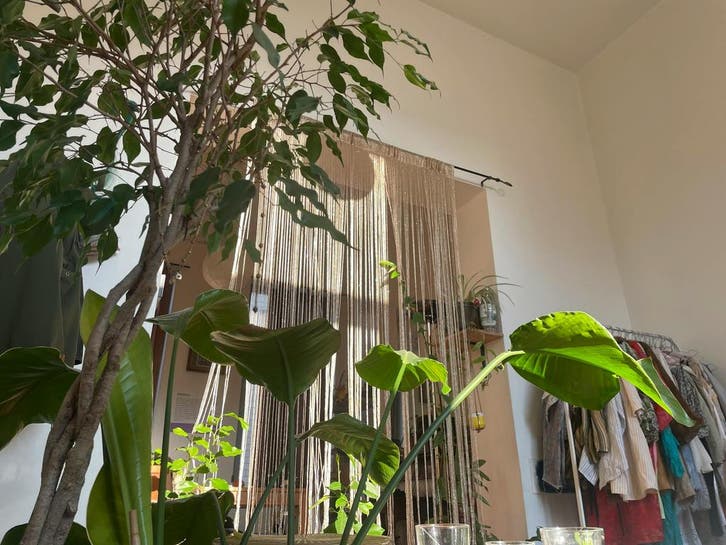 Appartement en Rue du Lavoir, Brussels, Immo, Appartements & Studios à louer, 50 m² ou plus, Bruxelles