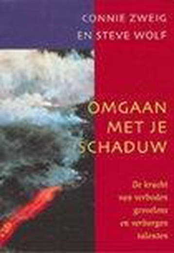 Omgaan met je schaduw 9789021585802 C. Zweig, Boeken, Verzenden, Zo goed als nieuw, C. Zweig
