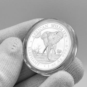Somalië. 100 Shilling 2025 – Elephant – High Relief – 1 oz, Postzegels en Munten