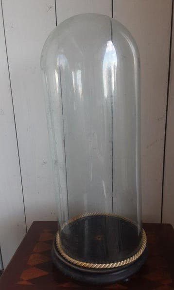 Cloche en verre - Verre, Bois - 1920-1930 - 51 cm