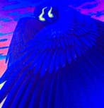 Tauritari - Psychedelic Owl at Sunset – Original Acrylic