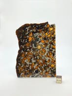 Sericho meteoriet Pallasiet - 51 g - (1), Verzamelen